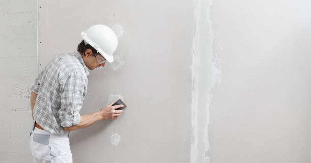 Best Drywall Removal and Disposal  in Dobson, NC