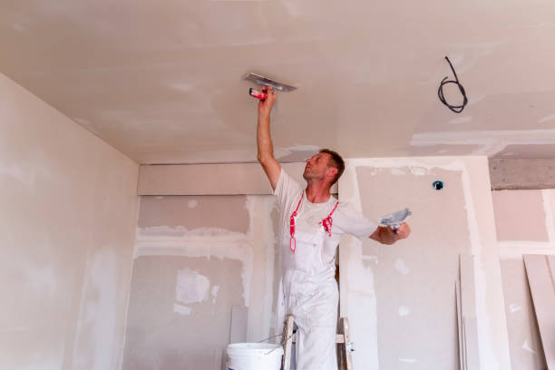 Best Repainting for Renovations  in Dobson, NC