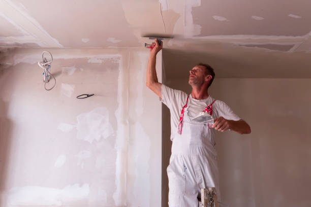 Best Drywall Finishing  in Dobson, NC